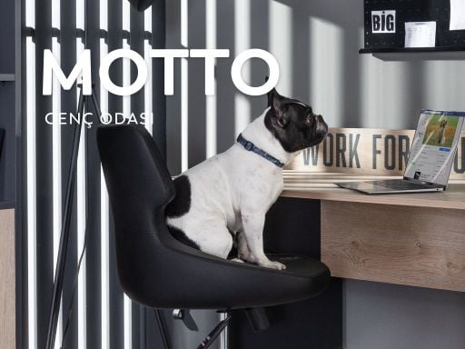 Motto Jugendzimmer