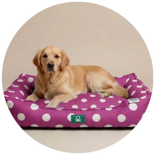Pet Bed