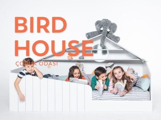 Bird House Kids Room