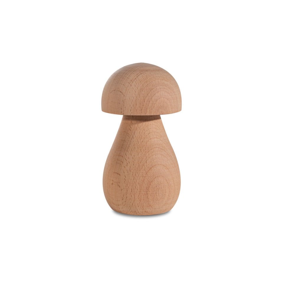 Woodba Wooden Mushroom Set
