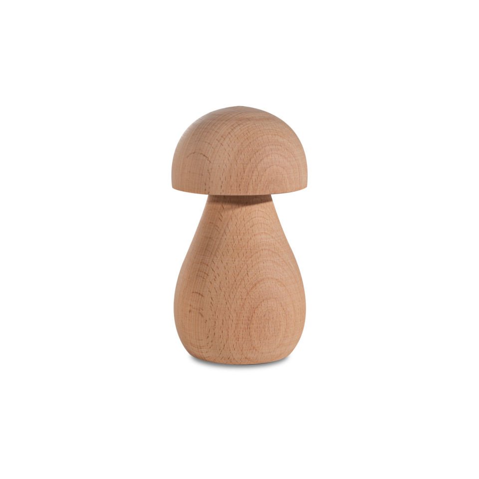 Woodba Wooden Mushroom Set