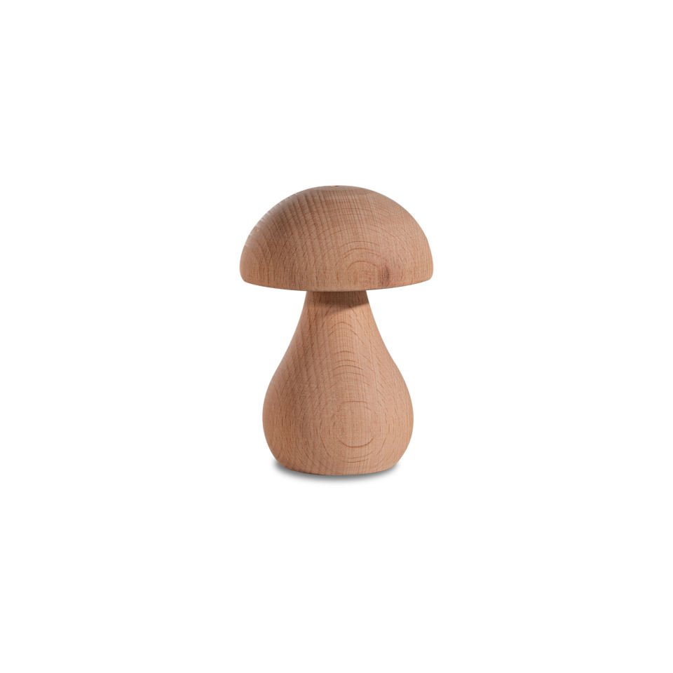 Woodba Wooden Mushroom Set