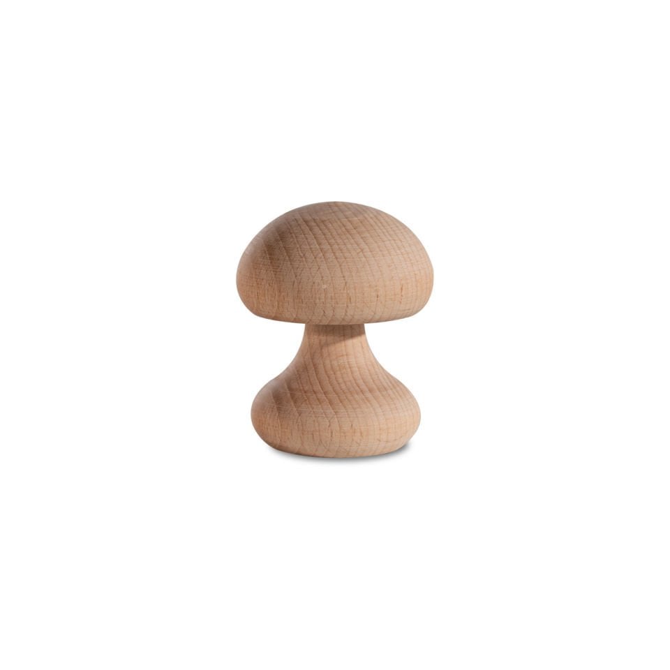 Woodba Wooden Mushroom Set
