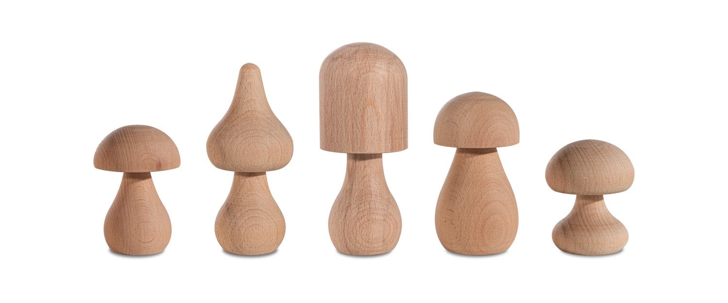 Woodba Wooden Mushroom Set