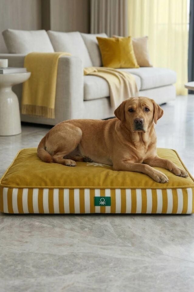 PetBed Çizgili Sarı
