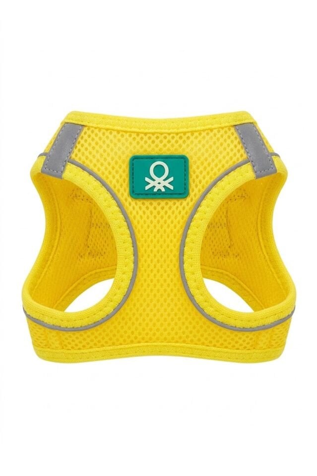 Air Network Yellow