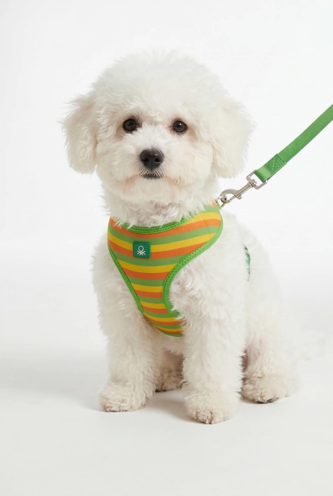 Hava Ağ Çizgili Yeşil