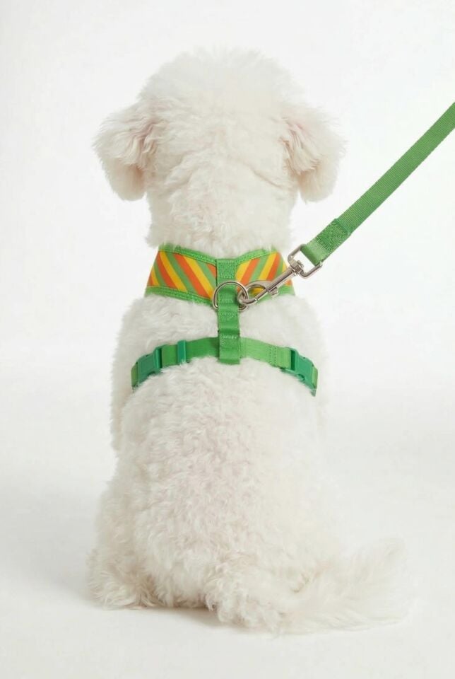 Air Mesh Striped Green