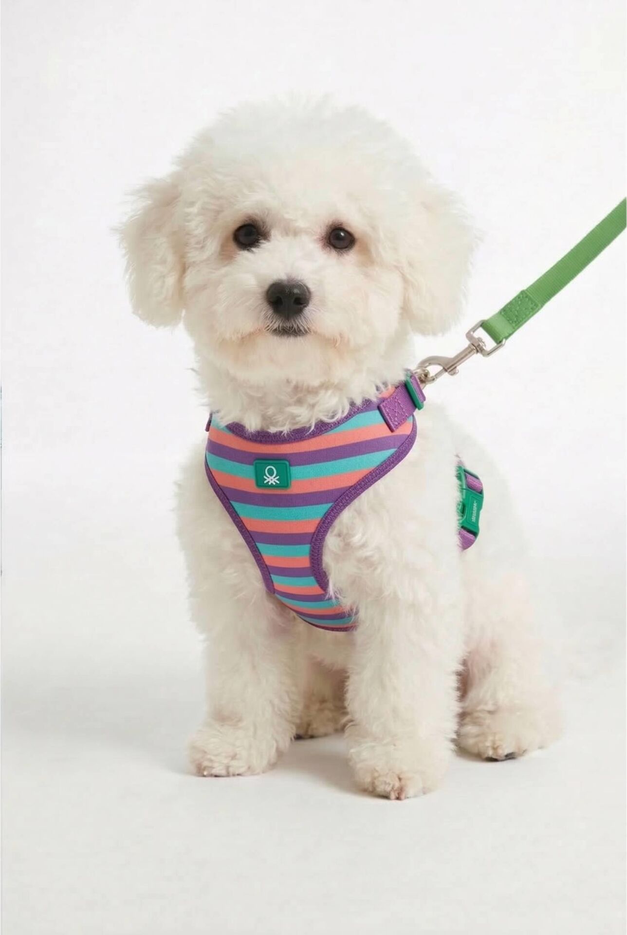 Hava Ağ Çizgili Mor