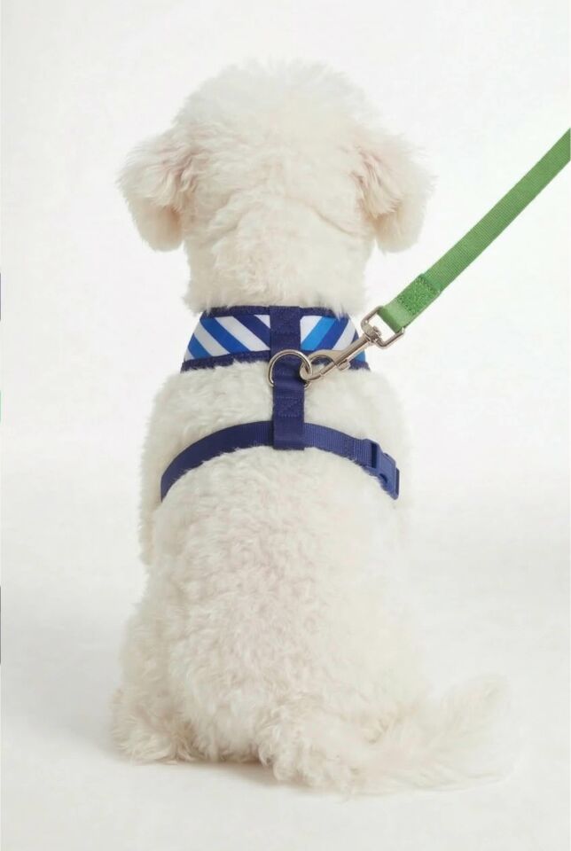 Hava Ağ Çizgili Mavi