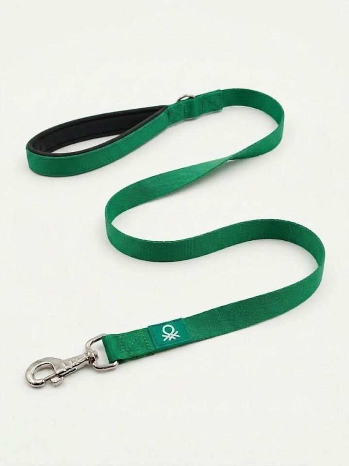 Green Mesh Leash