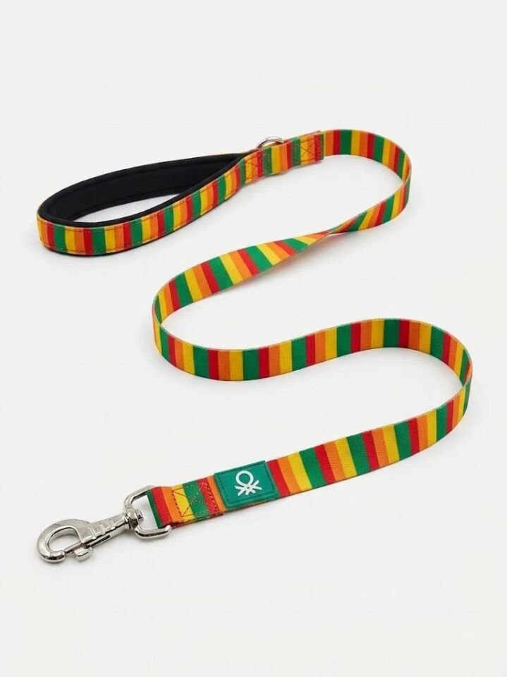Colorful Mesh Leash