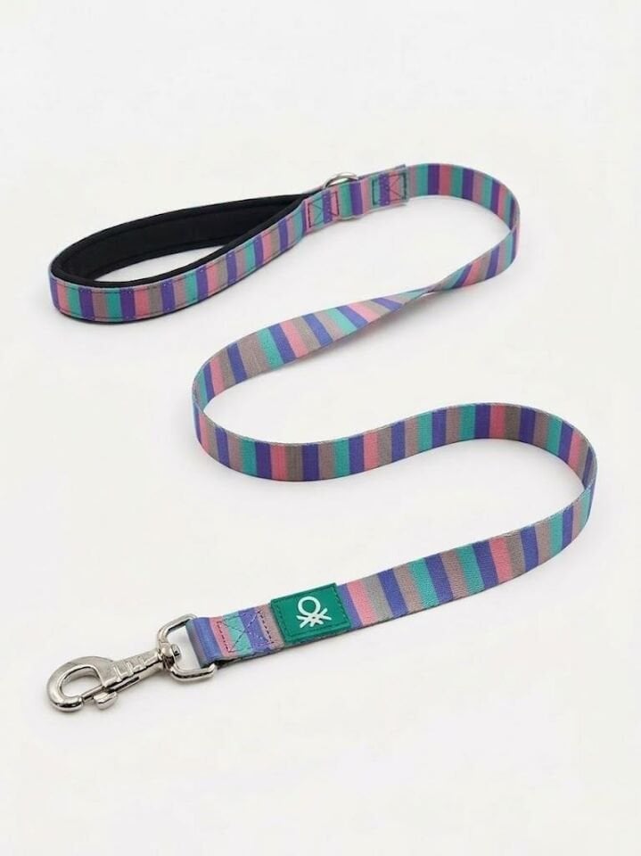 Colorful Mesh Leash