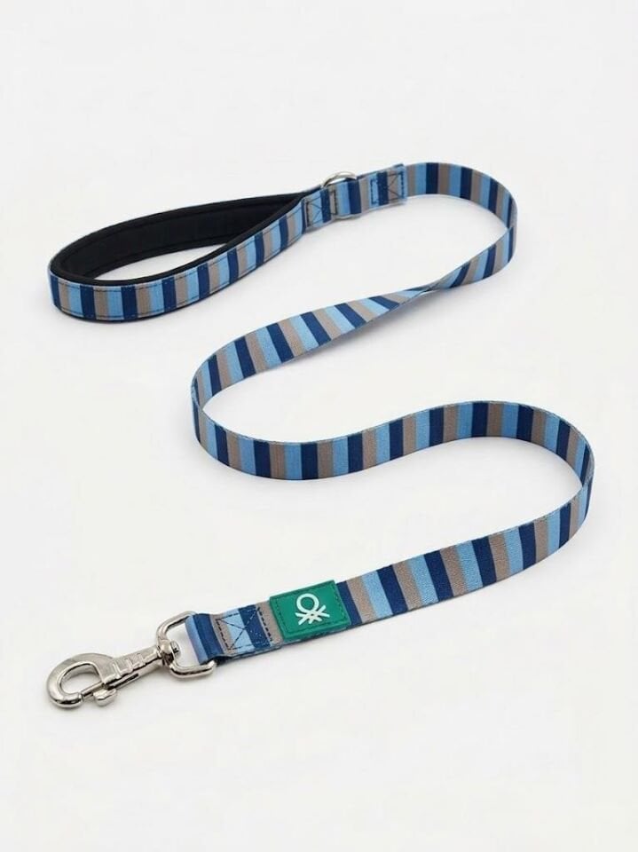 Colorful Mesh Leash
