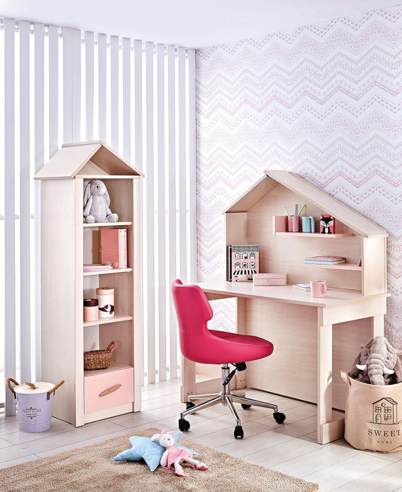 Pink House Bookshelf