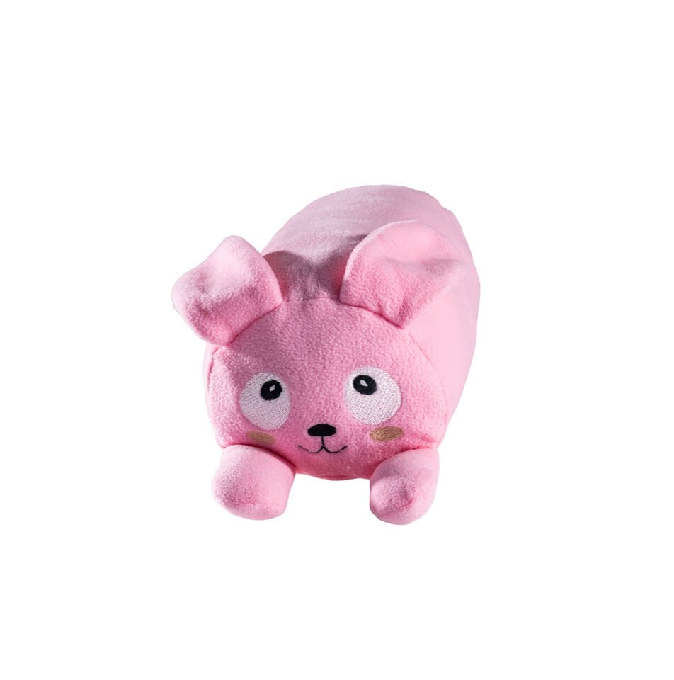 Bunny Oyun Arkadaşı