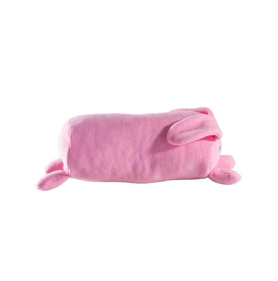 Bunny Oyun Arkadaşı