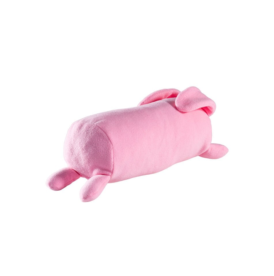 Bunny Oyun Arkadaşı