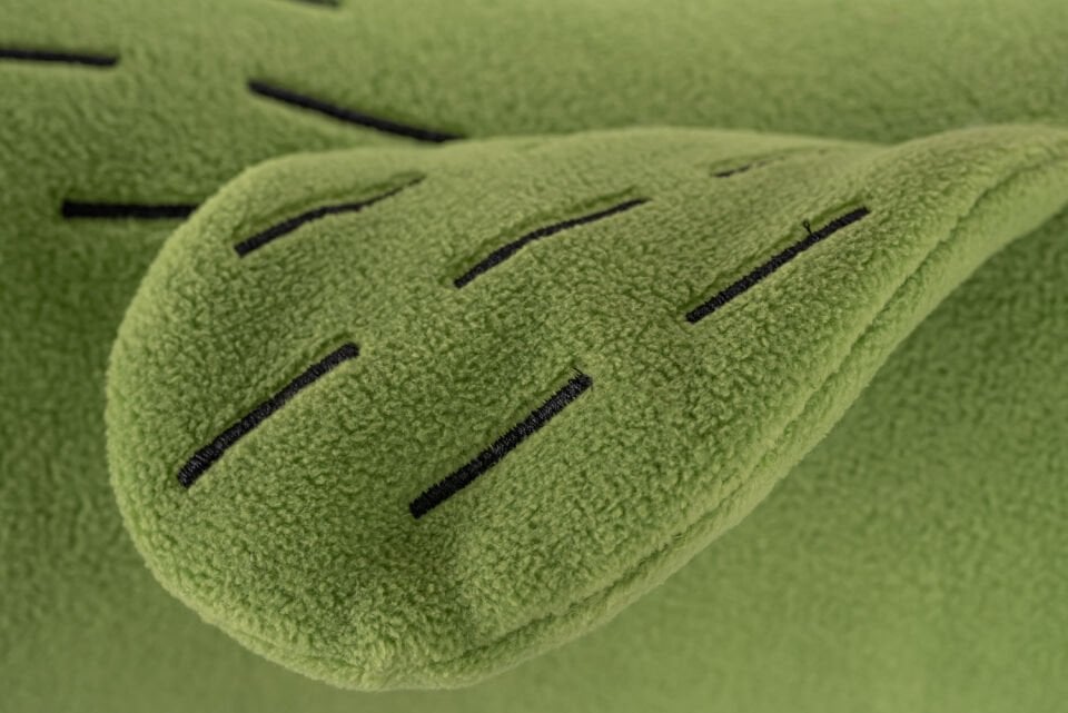 Kaktaki Uyku Arkadaşı