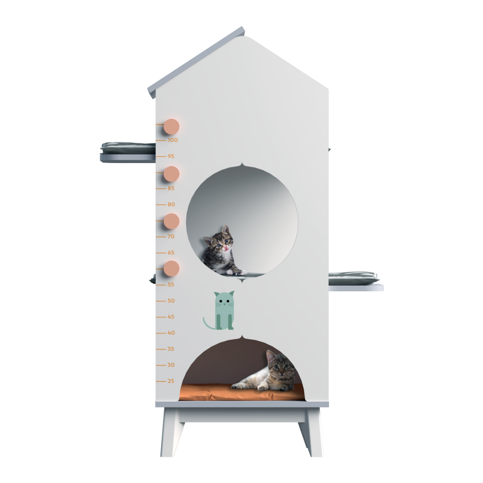 Bird House Pet-In Kedi Evi