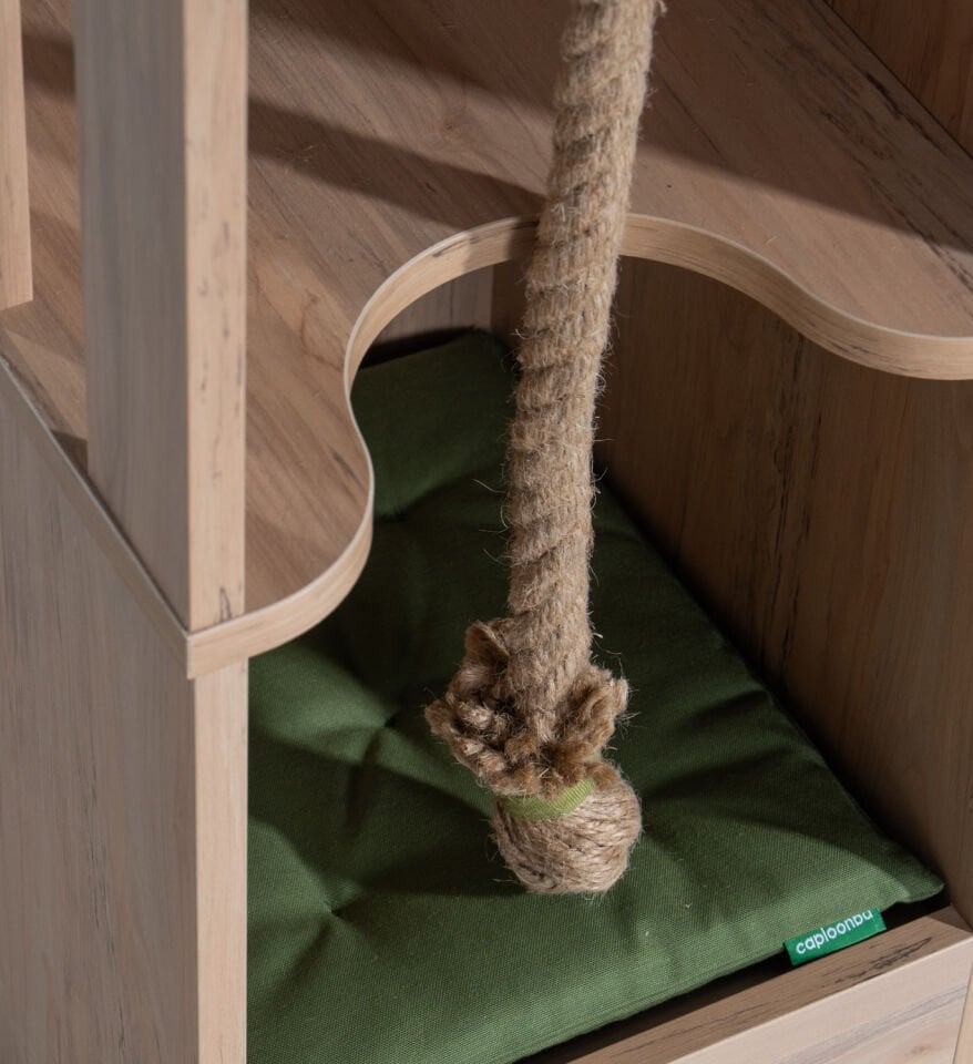 My House Pet-In Cat House