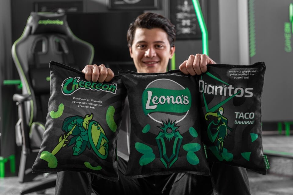 Targon Snack Pillow Set