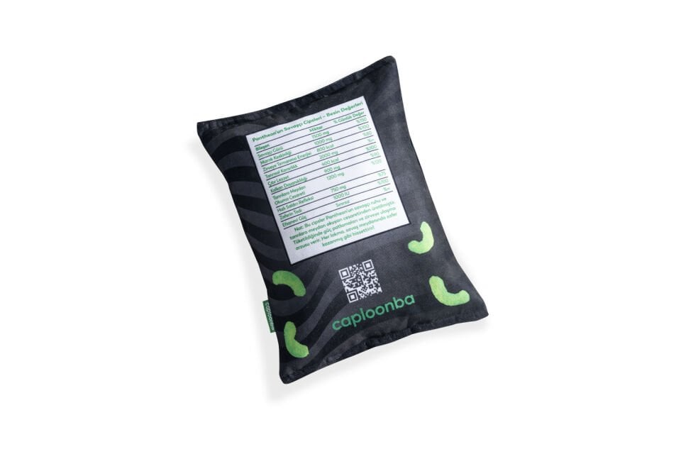 Targon Snack Pillow Set