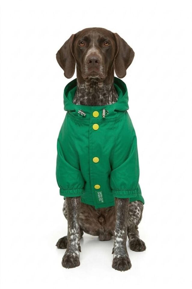Pet Raincoat Green