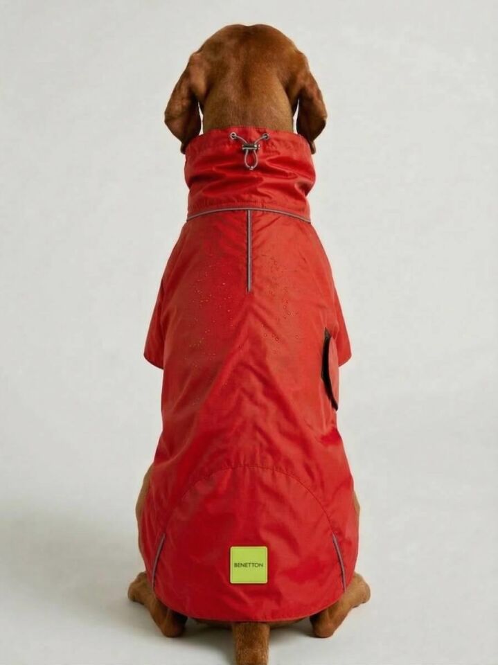 Pet Yağmurluk Kırmızı