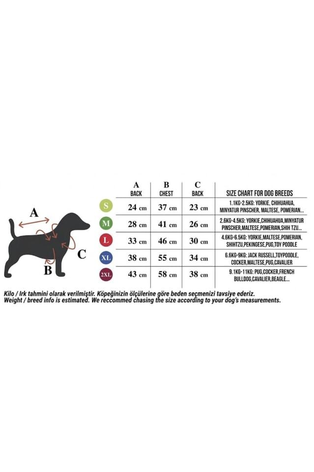 Pet Yağmurluk Kırmızı