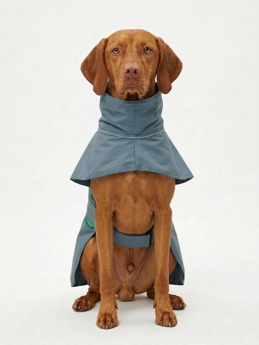 Pet Raincoat Dark Grey