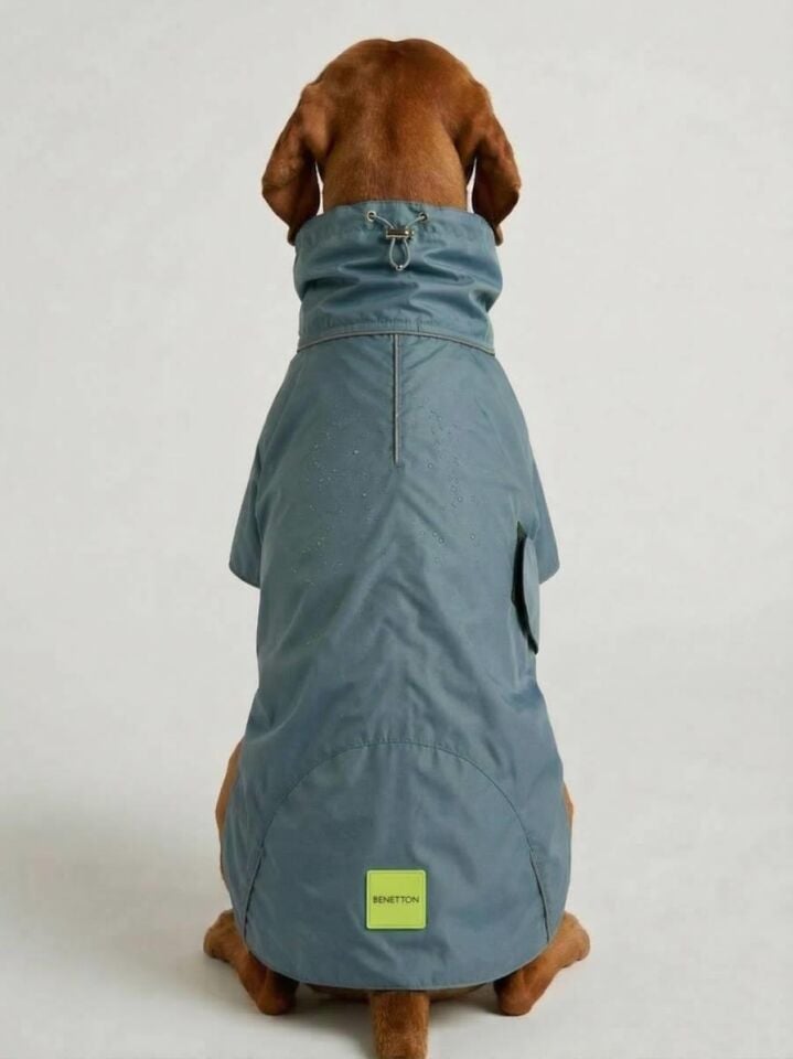 Pet Yağmurluk Koyu Gri