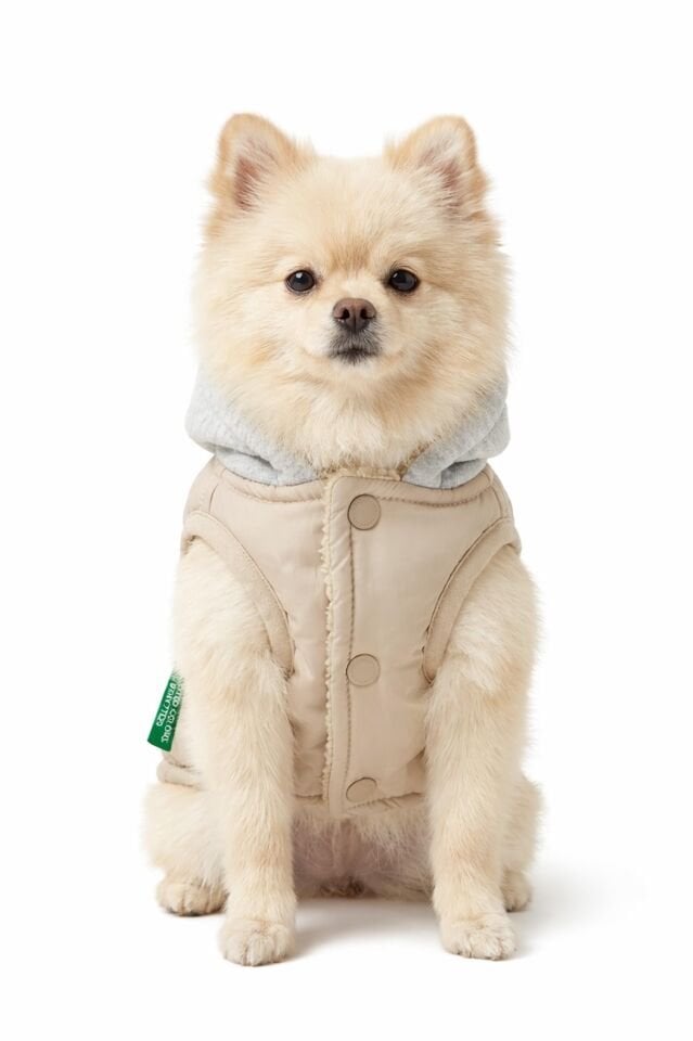PET Vest Raincoat Beige