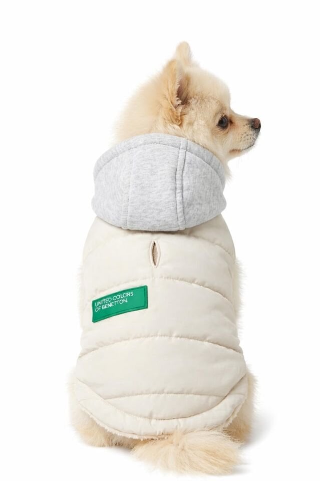 PET Vest Raincoat Beige