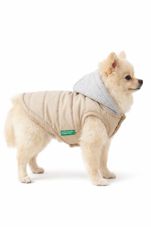 PET Vest Raincoat Beige