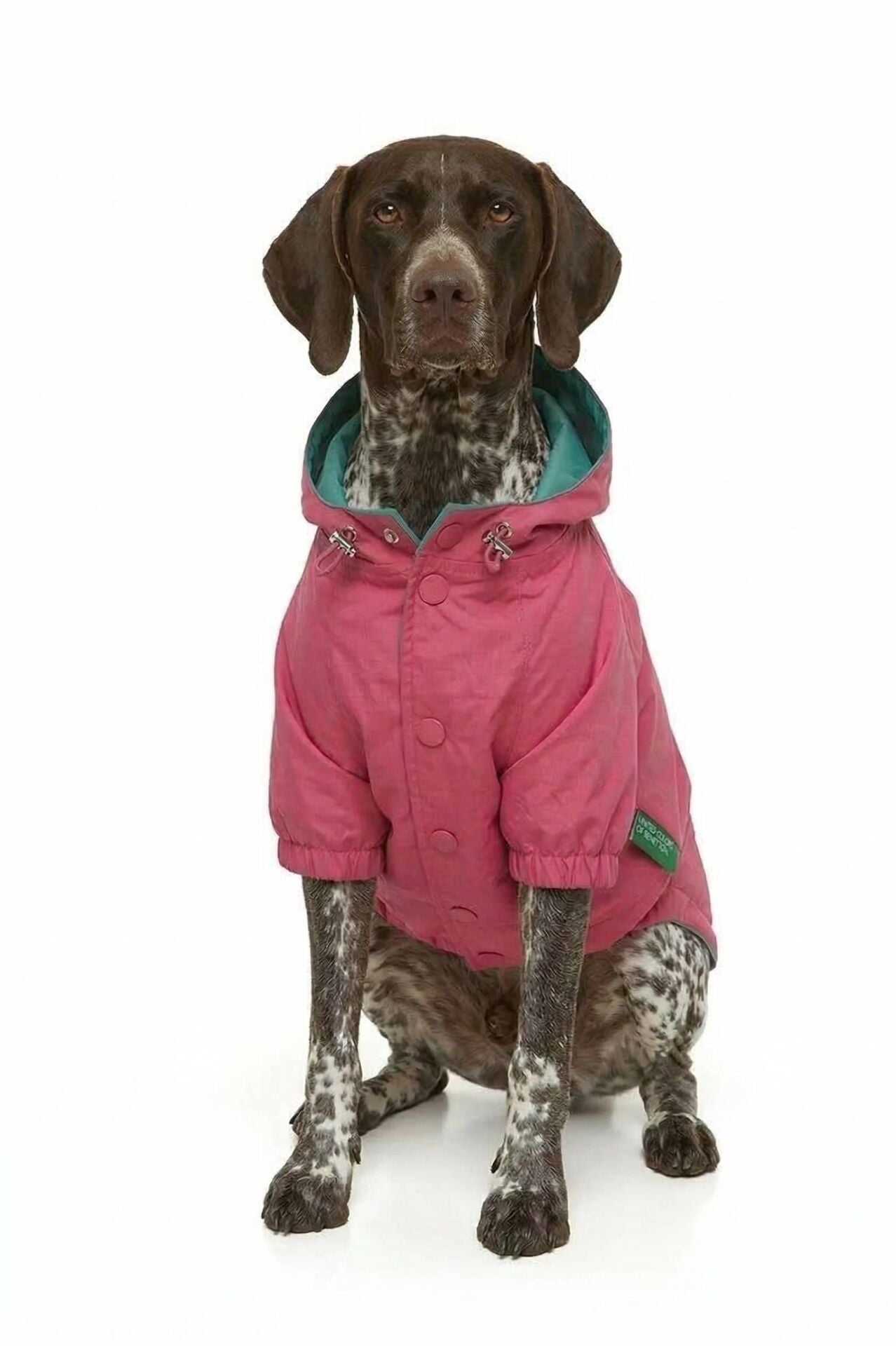 PET Raincoat Pink