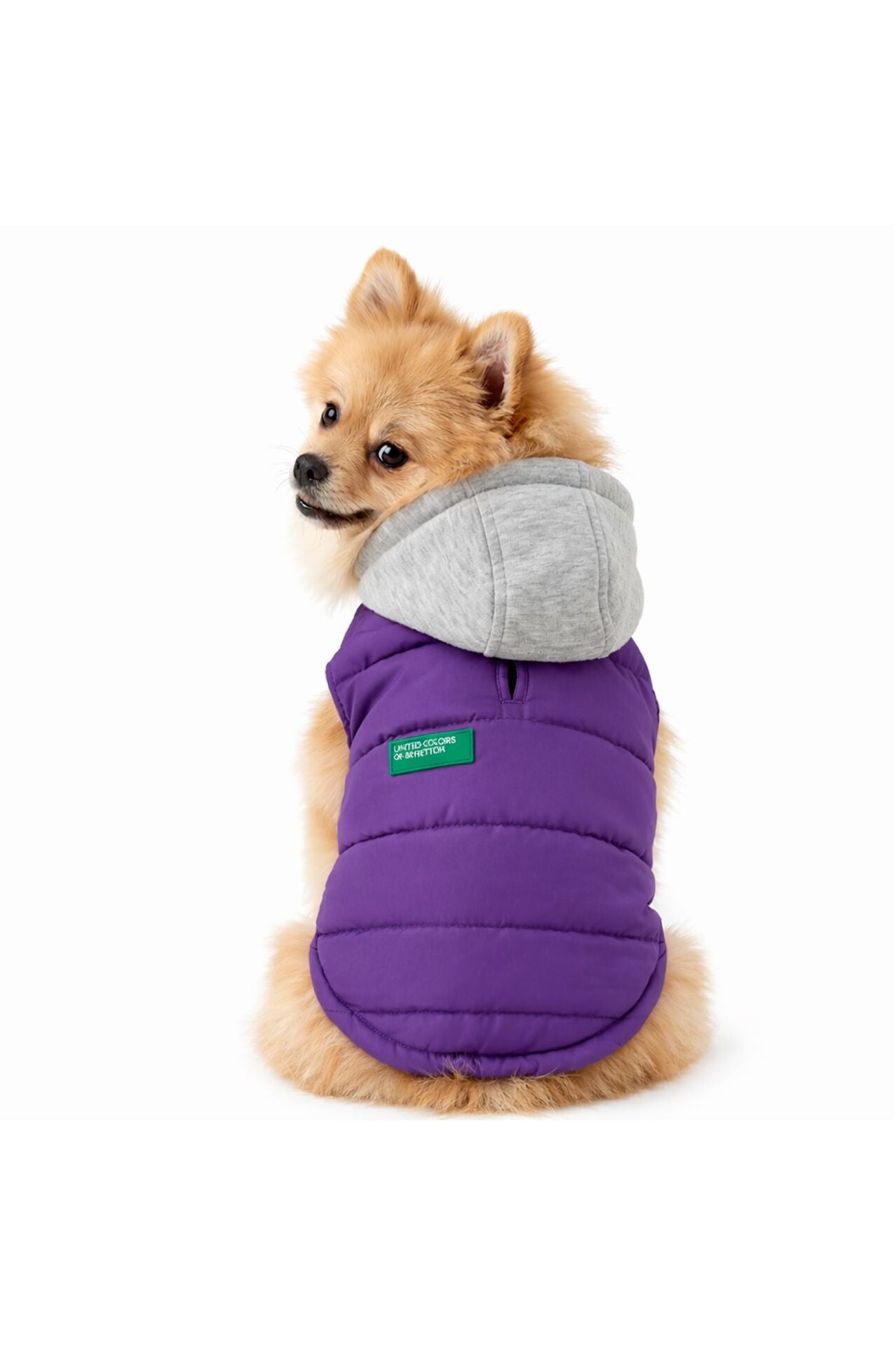 PET Yelek Yağmurluk Mor