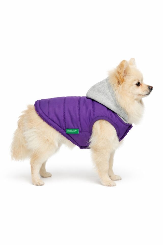 PET Yelek Yağmurluk Mor