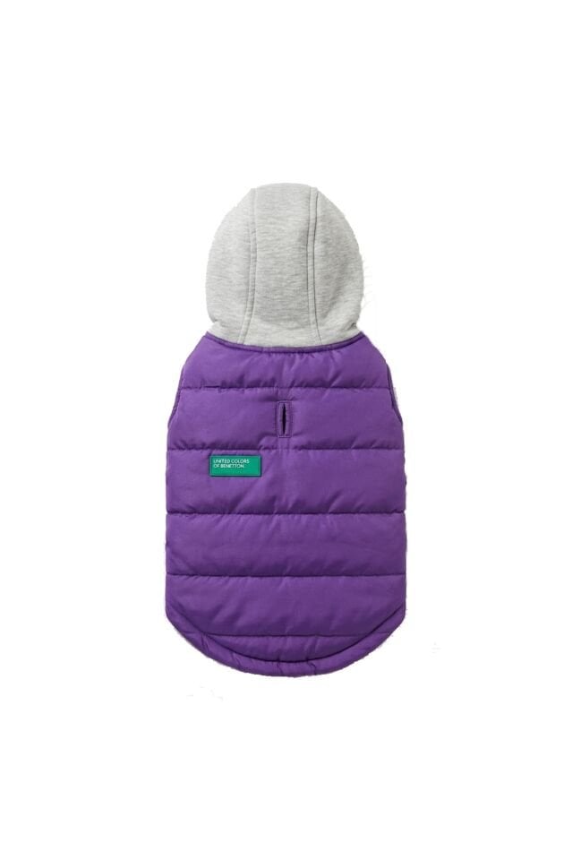 PET Vest Raincoat Purple