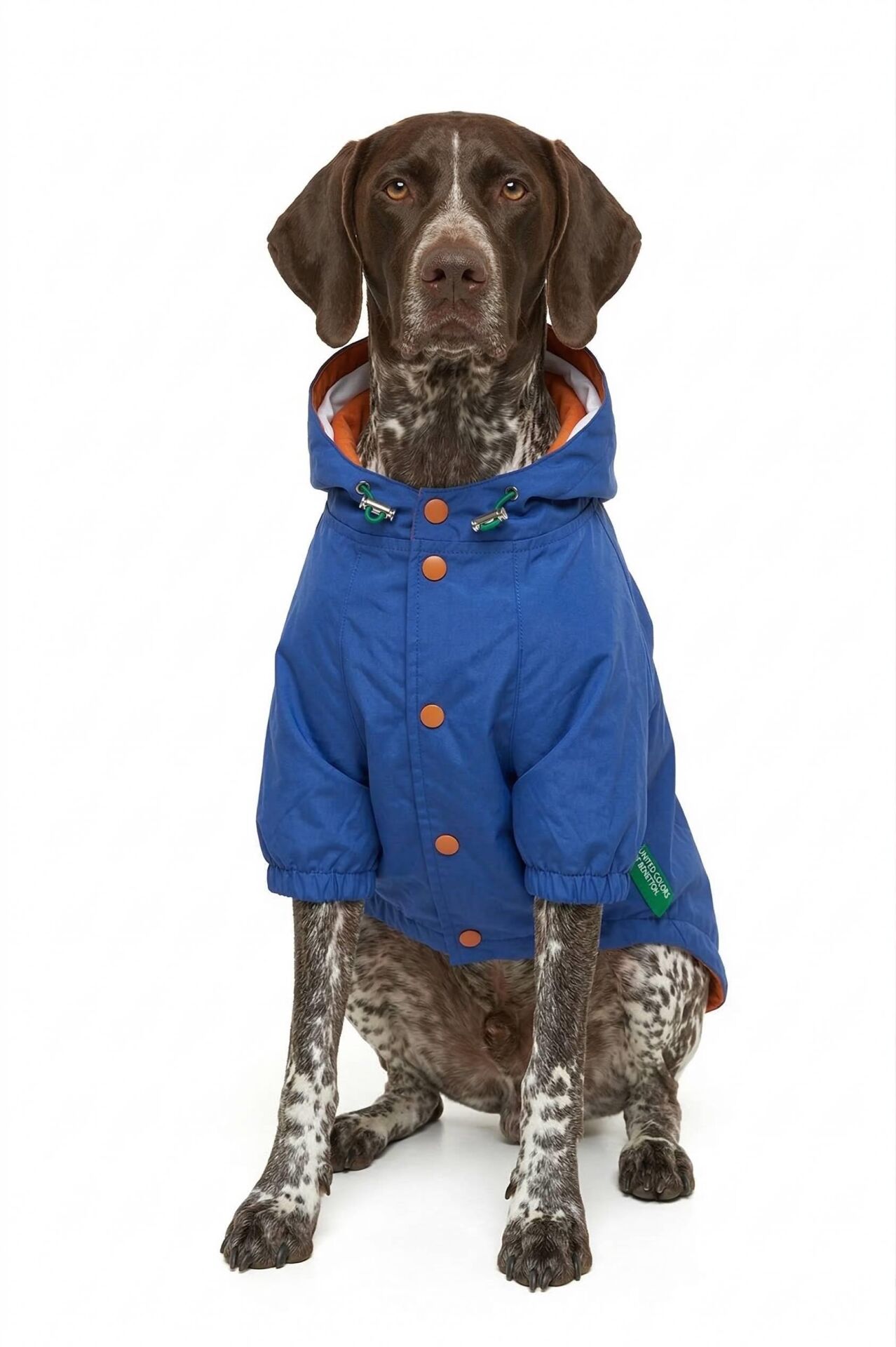 PET Raincoat Navy Blue