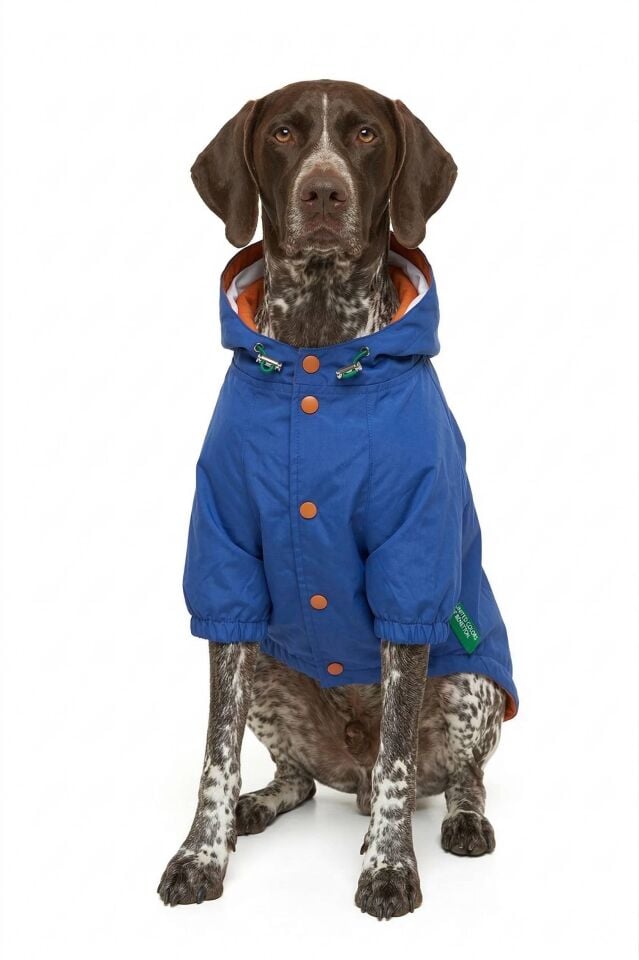 PET Raincoat Navy Blue