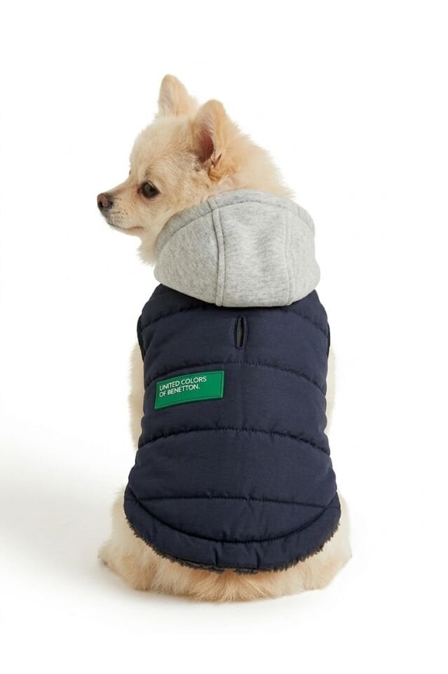 PET Yelek Yağmurluk Siyah