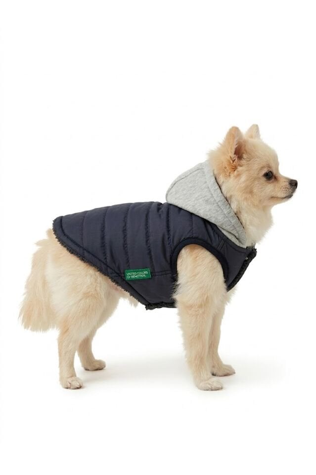 PET Yelek Yağmurluk Siyah