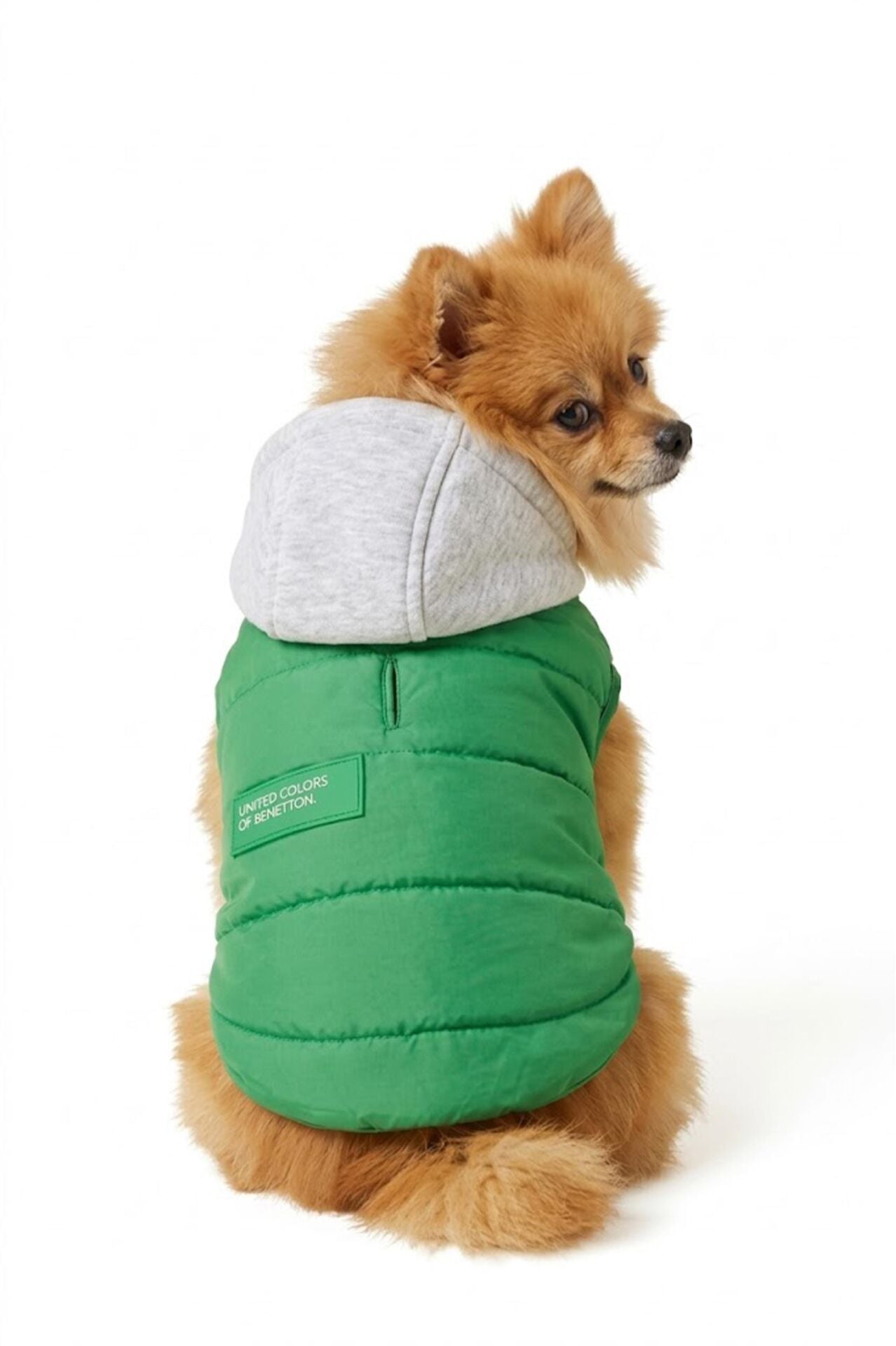 PET Yelek Yağmurluk Yeşil