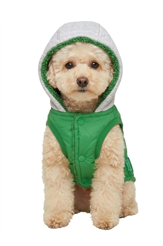 PET Yelek Yağmurluk Yeşil