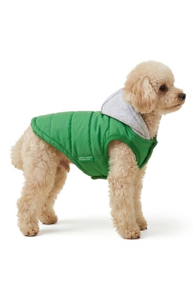 PET Yelek Yağmurluk Yeşil