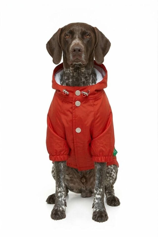 PET Yağmurluk Kırmızı