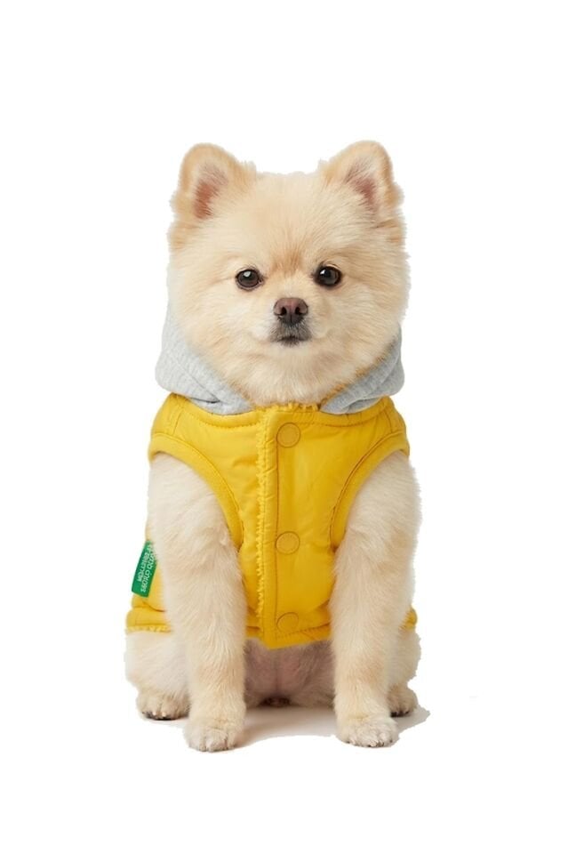 PET Vest Raincoat Yellow