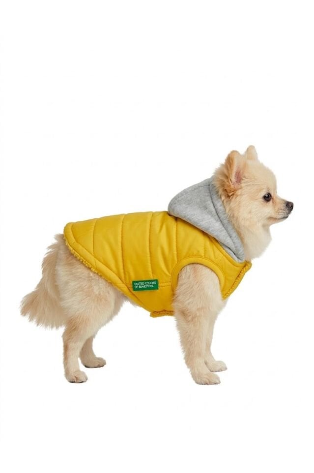 PET Yelek Yağmurluk Sarı