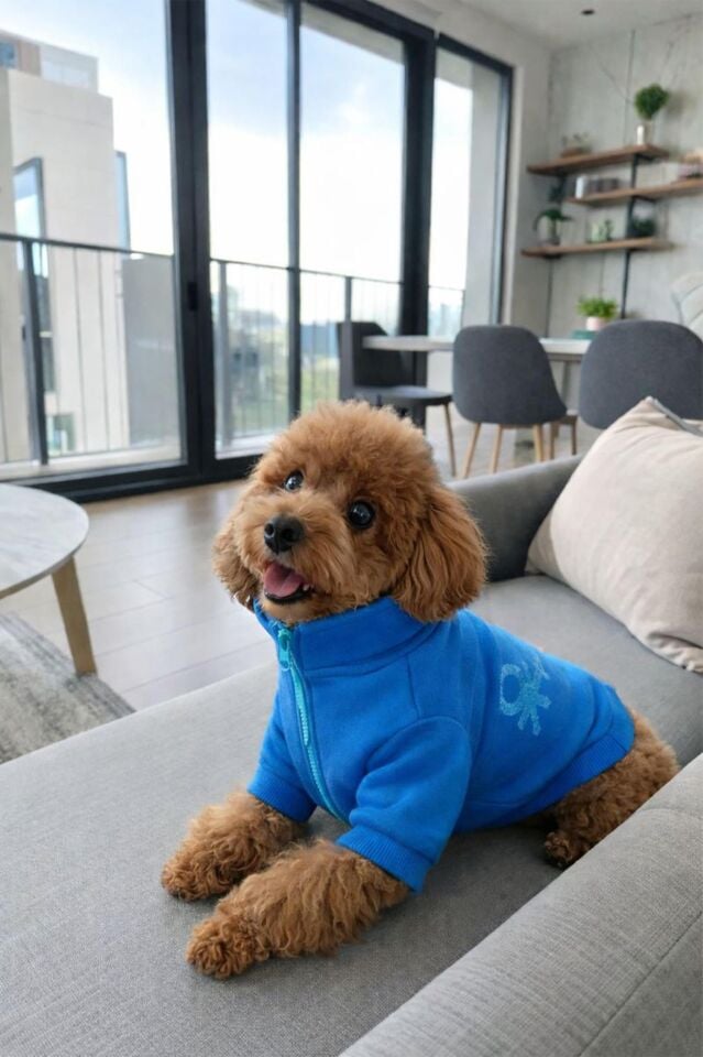 PET Ceket Mavi